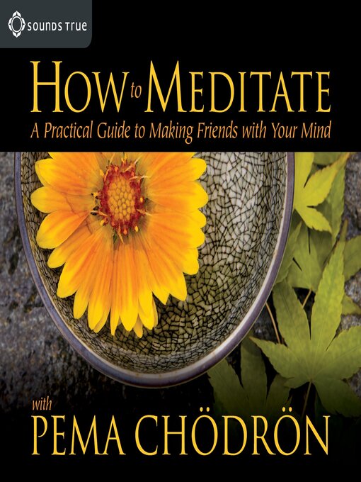 Title details for How to Meditate with Pema Chödrön by Pema Chödrön - Available
